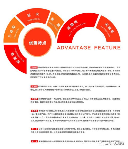 天虹線纜 助力傳統村落煥新顏，守護黔溪村電氣安全